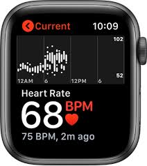 check your heart rate on apple watch apple support