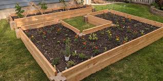 It depends upon the amount of space you have to devote to plants. These Lego Like Bricks Make Building A Raised Garden Bed A Snap Wirecutter