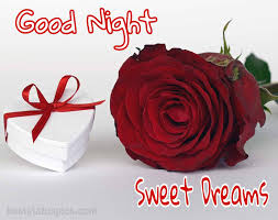 Tamila soroush wanted it all. 121 Romantic Good Night Rose Flower Images Hd 2021 Best Status Pics