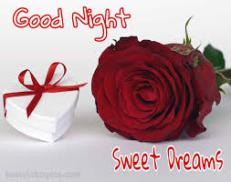 She deserves all love through the romantic messages for her flowers sent through texts. 121 Romantic Good Night Rose Flower Images Hd 2021 Best Status Pics