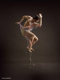 Resultado de imagen para lois greenfield