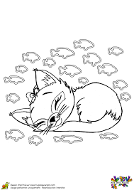 coloriage chat ours recherche google cat coloring page kittens pages pikachu