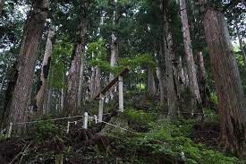 奈良県 玉置神社の玉石社 神社 風景 巡礼