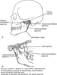 The Temporomandibular Joint Measurement Of Joint Motion A