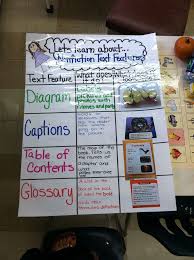 Non Fiction Text Lessons Tes Teach