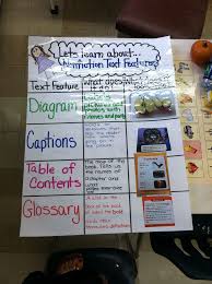 non fiction text lessons tes teach