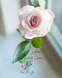 pin by وة on احلى كلام بأحلى خلفيات in 2020 beautiful morning messages islamic quotes quran rose