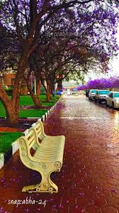 جمال مدينة ابها Sidewalk Structures