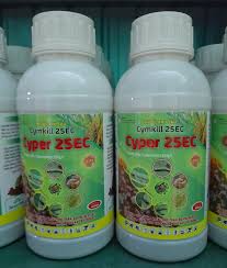 Cyper 25EC