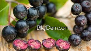 Aronia Berry Faydalari Ve Aronia Meyvesinin Besin Degerleri Nelerdir Aronya Meyvesinin Faydalari Aronya Meyvesi Nerelerde Kullani 2020 Berry Alkali Gidalar Gida