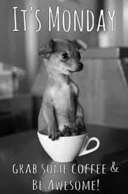 90 Funny Monday Coffee Meme Images To Make You Laugh Cute Animals Puppies Pets
