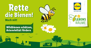 Zumindest wenn es nach den vereinten nationen geht, die dieses datum im dezember 2017 zum. Rette Die Bienen Lidl Nutzt Weltbienentag Und Setzt Sich Aktiv Fur Mehr Presseportal