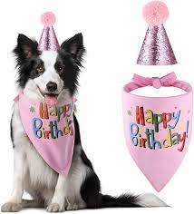 Amazon.com : Blaoicni Dog Birthday Bandana Hat Scarf Party Supplies  (Pink-Girl) : Pet Supplies