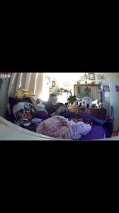 #fyp😂😂😂😂😂 @Kendra@💜epilepsysurvivor💜