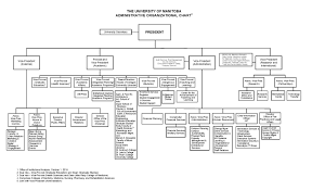 42 Perspicuous Nurse Organizational Chart