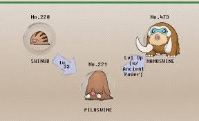 72 Genuine Pokemon Swinub Evolution Chart