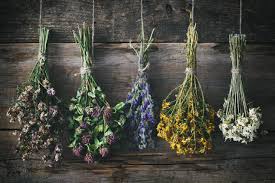 We teach you how to dry flowers 4 different ways and include dried flower decor ideas. How To Preserve Flowers By Drying Pressing And More Hgtv