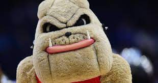 Pin On College Mascots Sec
