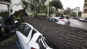 Schlammlawinen in cortina d'ampezzo und evakuierung wegen feuers auf sardinien: Rom Italien Unwetter Mit Hagel Und Eis Video Zeigt Das Ausmass Alle News Welt