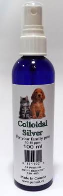 Use an oral syringeful directly into the ears to help kill yeast and bacteria. Colloidal Silver Creature Comfort Pet Emporium