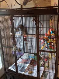 Bird Cages For Sale Near Me You Me Standing Parrot Cage Petco Parrot Cage Big Bird Cage African Grey Parrot Cage