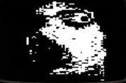 So, basically, flowey either fused with or based his appearance off the determination extractor. Ver 1 1 2 Why Omega Flowey Looks Like That Theory Undertale Amino