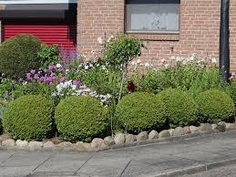 Wesentlich gebräuchlicher ist aber die niedrige strauchform. Buchsbaum Buxus Sempervirens Baumschule Horstmann