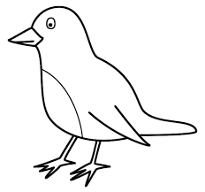 Birds coloring page to download. Printable Bird Coloring Pages Coloringme Com