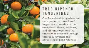 Image result for Tangerine 1971 Rootes