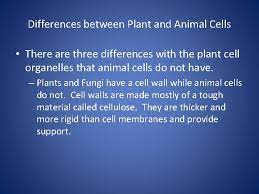 We did not find results for: What Is An Organism Definition Organism Anything That