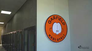 garfield kedi oteli eskisehir youtube