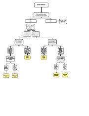 Flowchart Docx Statement Of Purpose And Dichotomous Key