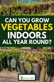 Plants need full sunlight to part sunlight for better growth. Can You Grow Vegetables Indoors All Year Round Garden Tabs