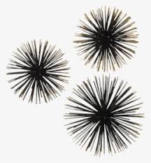 Supercoloring.com is a super fun for all ages: Sea Urchin Png Images Free Transparent Sea Urchin Download Kindpng