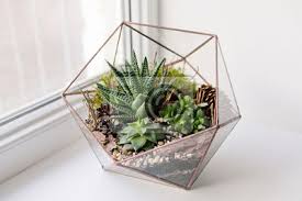 Man kennt das ganze auch als flaschengarten, unter der bezeichnung hermetosphäre oder ecosphere, einem speziellen aquarium. Mini Succulent Garten Im Glas Terrarium Fototapete Fototapeten Schone Handwerk Saftig Myloview De