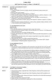 claim representative resume samples