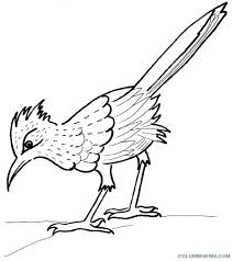 When we think of october holidays, most of us think of halloween. Bird Coloring Pages Roadrunner 54 Jpg Printable Coloring4free Coloring4free Com