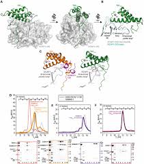The solutions contain questions, answers, explanations and images to all the questions present in the prescribed textbook of cbse board. Structural Insights Into Cullin4 Ring Ubiquitin Ligase Remodelling By Vpr From Simian Immunodeficiency Viruses Biorxiv