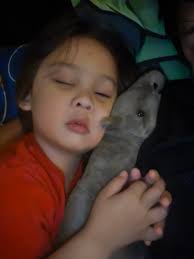 Panasonic TX-68X02A 68cm component S-video