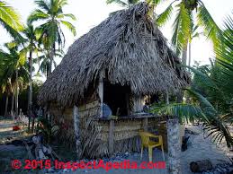 How to install viro palm thatch ridge panels. Thatch Roof Inspections Information Sources Design Specifications Life Expectancy