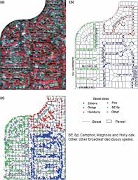 (en) jamie jones sur discogs. Remote Sensing Of Plant Functional Types Ustin 2010 New Phytologist Wiley Online Library