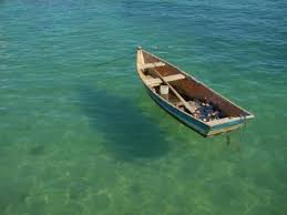 float or sink
