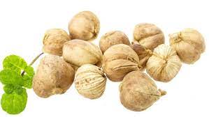Meski manfaat kapulaga untuk rahim telah terbukti, tanaman herbal ini juga. Kapulaga Oleh Oleh Haji Yang Bisa Sehatkan Pencernaan Tulang Dan Ginjal Watyutink