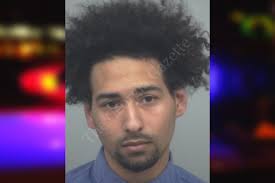 Cameron Garvin — Gwinnett County Jail Bookings