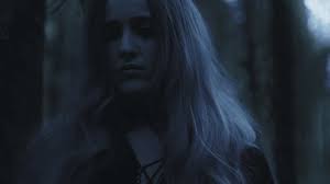 Enchanted Forest Black White Videos: 4K and HD Video Clips