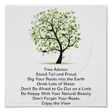 Pin On Stuff Sold On Zazzle