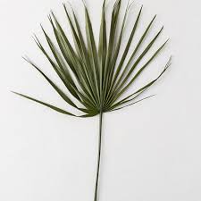 Schnapp dir jetzt das passende angebot aus über 3.000.000 produkten auf moebel.de. 14 Decorative Branches To Shop For And Arrange By Season Architectural Digest