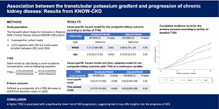 Image result for Transtubular Potassium Gradient