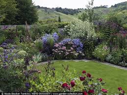 Seen Over Rosa Rosemary Rose Diascia And Lawn Bed Of Sedum Matrona Cornus Alba Elegantissima Eupa Front Garden Design Cottage Garden English Cottage Garden