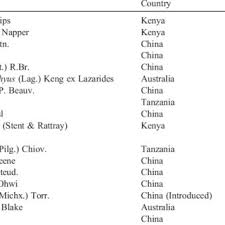 Image result for Brachyachne patentiflora